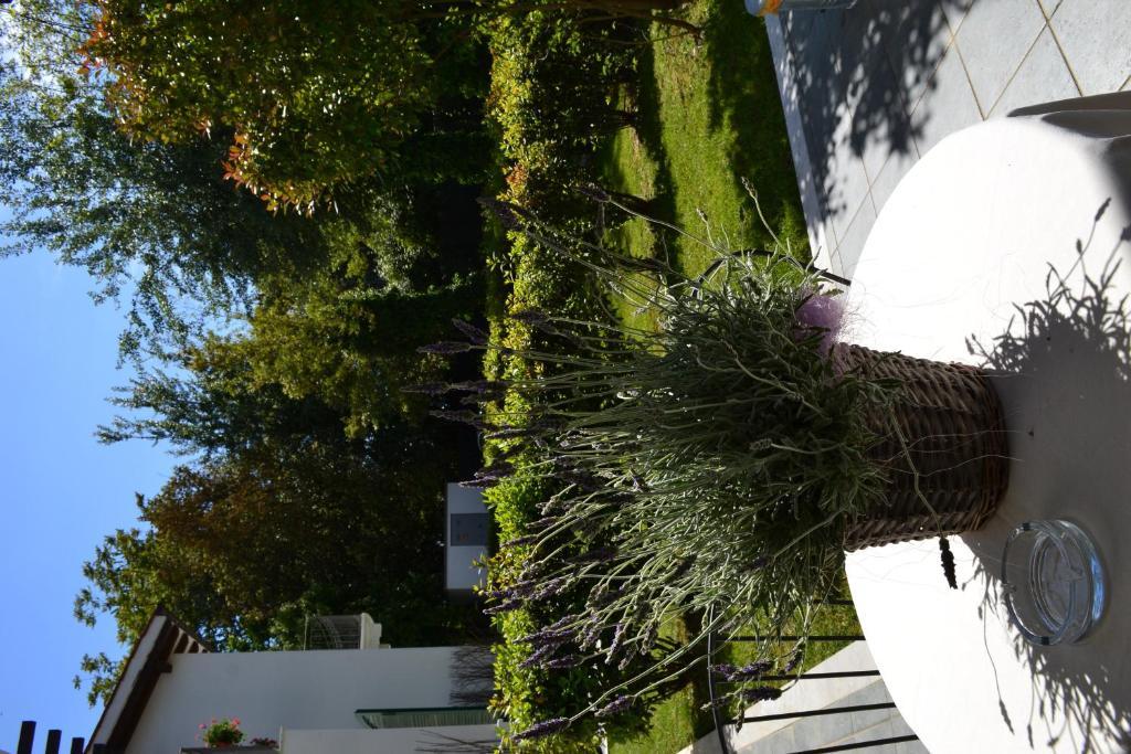 Residence Casa Bianca Marina di Massa Exterior photo